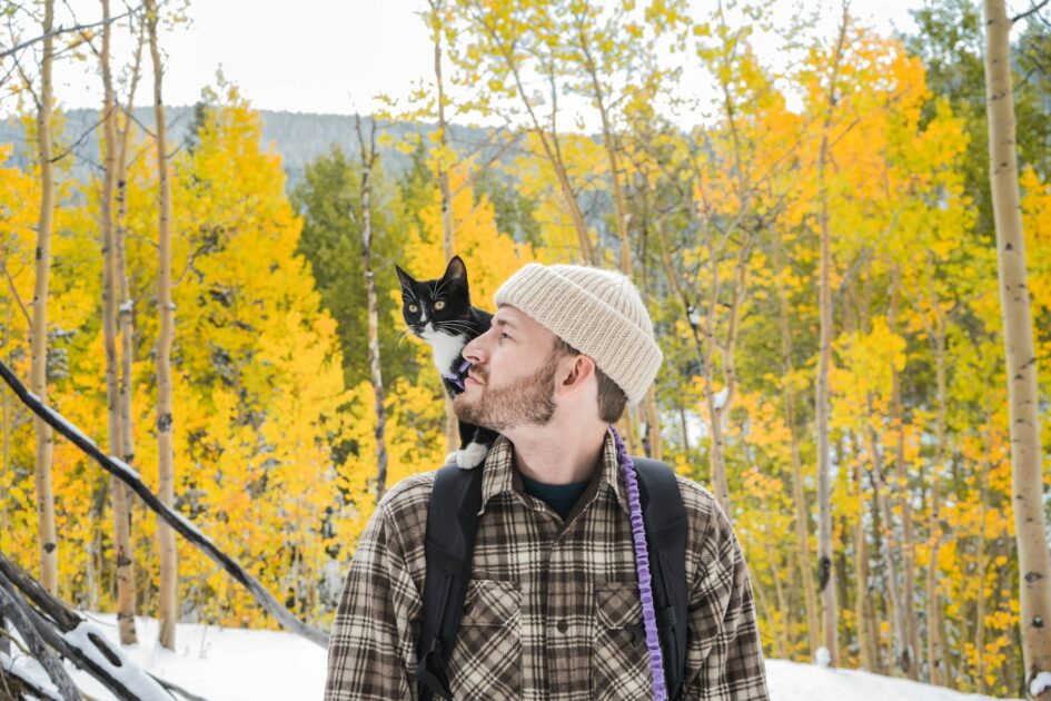 男性の肩に乗る猫
