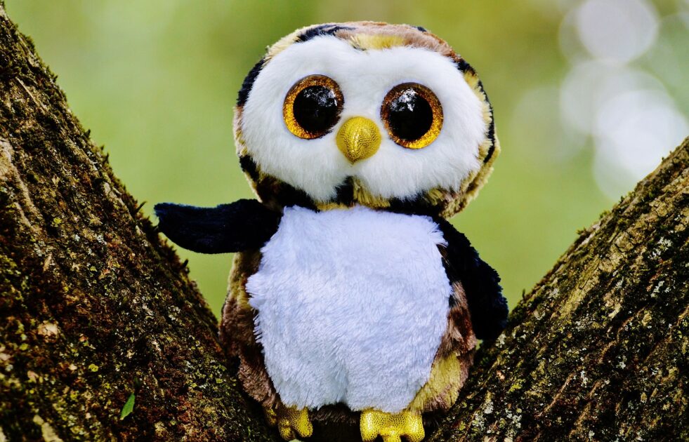 フクロウのぬいぐるみ
